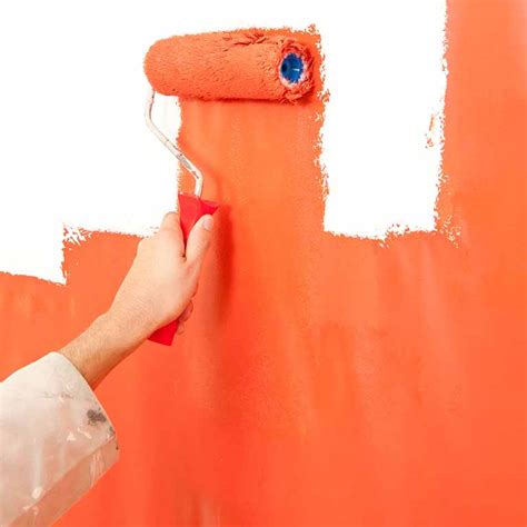 paint - NovoBouw