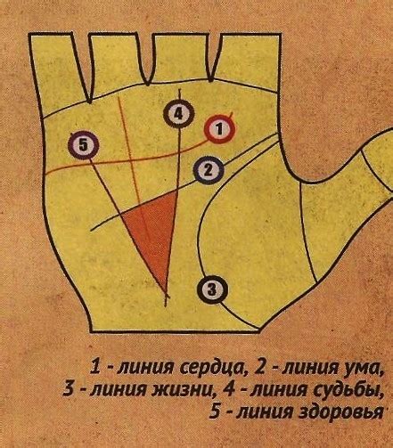 Треугольник на линии жизни — расшифровка значений фигуры
