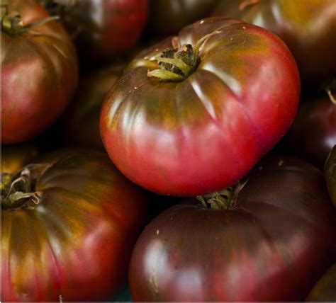 Cherokee Purple Seeds – SeedCatalog.com
