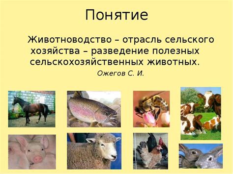 Животноводство. Окружающий мир. (3 класс)