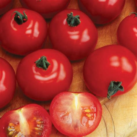 Tomato - Primabella (Organic) Seeds | The Organic Gardening Catalogue