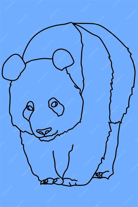 premium vector sketch panda  art