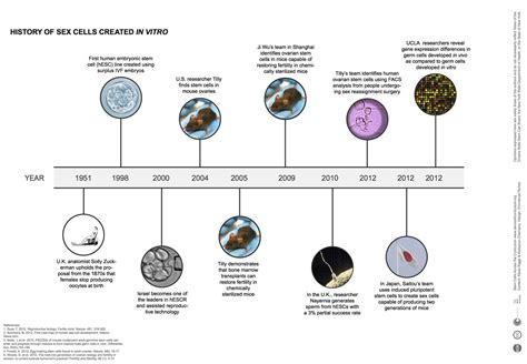 Stem Cells Across Curriculum