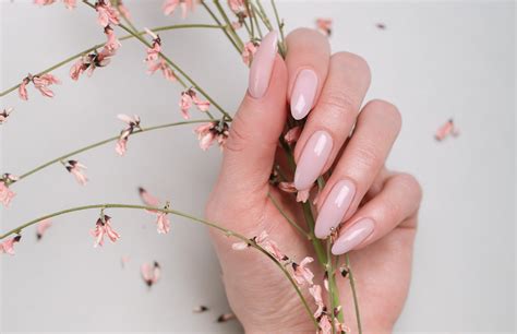 10 Clear Pink Nails We’re Loving in 2025 - Zohna