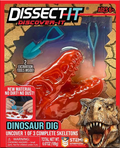 Amazon.com: Dissect-It Discover-It Dinosaur Dig, Simulated Dino Bones