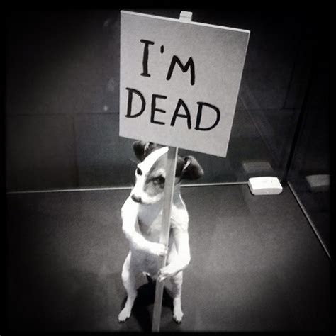 Tired of London, Tired of Life: See David Shrigley's Brain Activity