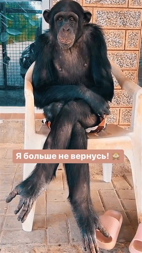 Не для тебя мама ягодку растила! 👸 #смешныеживотные #милыеживотные # ...