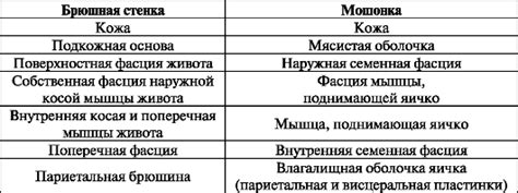 Мошонка новорожденного мальчика маленькая, кожа сморщенная благодаря ...