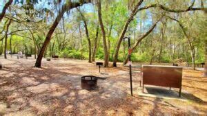 I stayed at Salt Springs Campground for Ocala National Forest camping ...