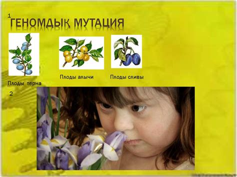 Мутация. Мутацияның түрлері. Мутация тудыратын аурулар - презентация онлайн
