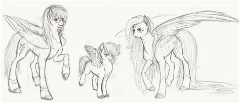 Preview: The Pegasi by Earthsong9405 on DeviantArt