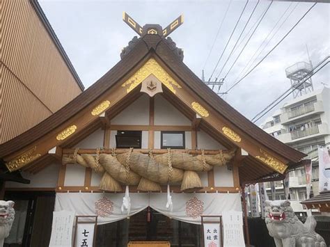 THE 15 BEST Things to Do in Asaka - 2022 (with Photos) - Tripadvisor