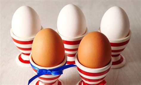 O Que Significa Sonhar Comendo Ovo - Sonhar com Ovo - Significados e Mistérios