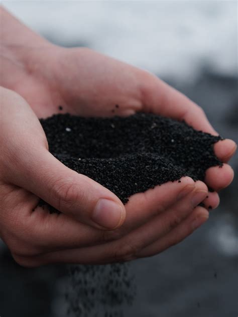 Compost Heap - The Wild Mind Project