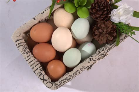 Tập đoàn Dabaco Việt Nam