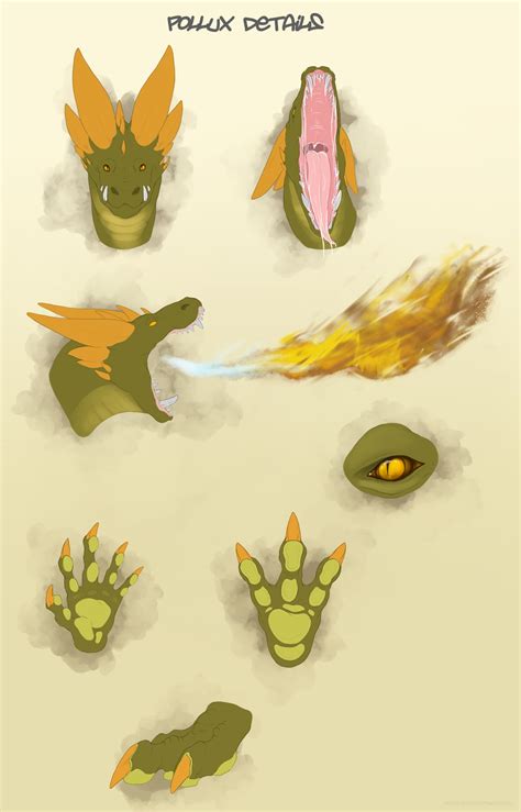 pollux details weasyl