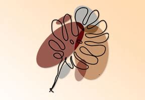 gorgeous  drawing transparent background images