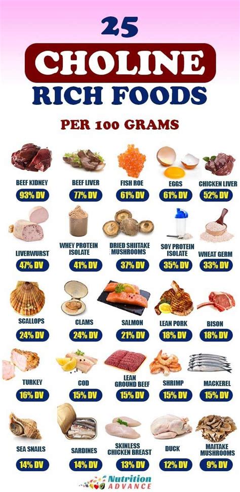 40 Foods High In Choline | Choline foods, Foods high in folate, Nutrition
