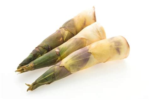 kaya nutrisi  bergizi  sederet manfaat rebung  kesehatan kids