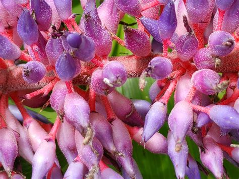 Spotlight Oral History - PROFILES IN COURAGE: ROCK STEADY BOXERS Harry