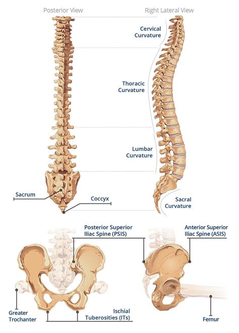 seating positioning guide