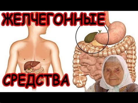 💥Народные Желчегонные Средства. Народная Медицина Против Застоя Желчи ...