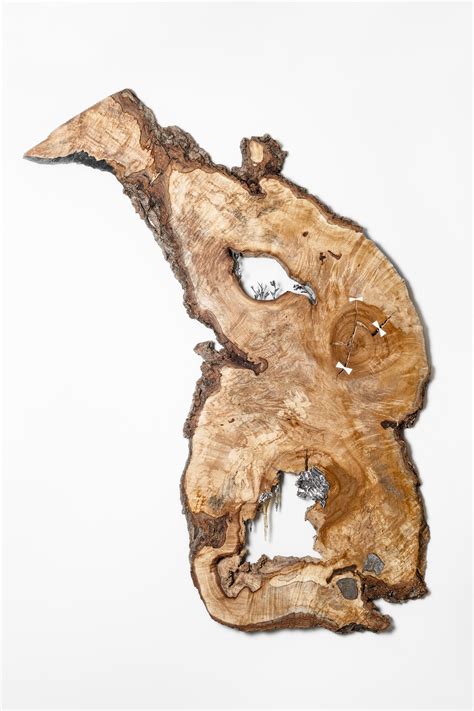 Wild Maple Silver Relief (America) - Artwork | GalleriesNow