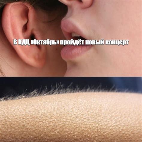 Мем: "В КДЦ «Октябрь» пройдёт новый концерт" - Все шаблоны - Meme ...
