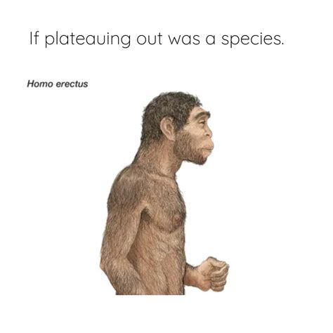 "Evolution stagnates; Homo erectus sympathizes." : u/HollySkyBaby