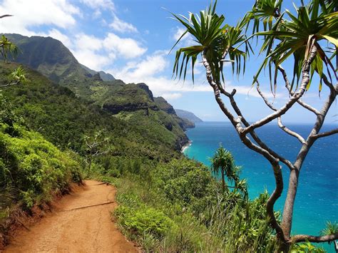 Top Experiences On Each Of The Hawaiian Islands — Acanela Expeditions