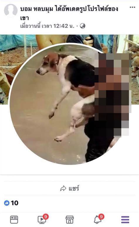 Chiang Mai man arrested for offering sex with dogs