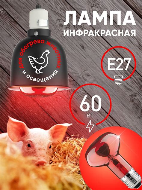 Лампочка ИКЗК 230-60 R63 Е27 ЭРА / Инфракрасная лампа для курятника ...
