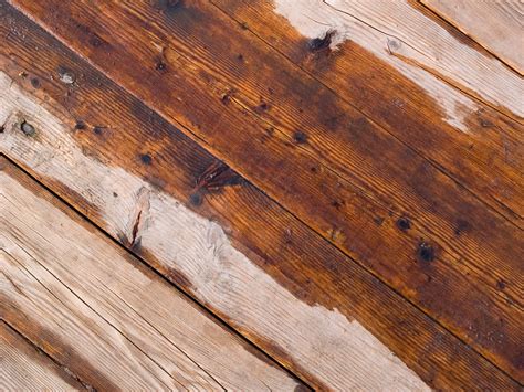how to stop hardwood floor from creaking 3