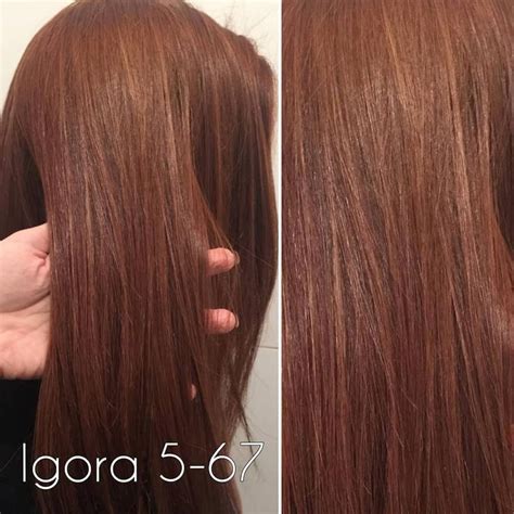 ESPECIALISTA EM RUIVAS on Instagram: “A Igora 5-67 é um castanho (cor ...