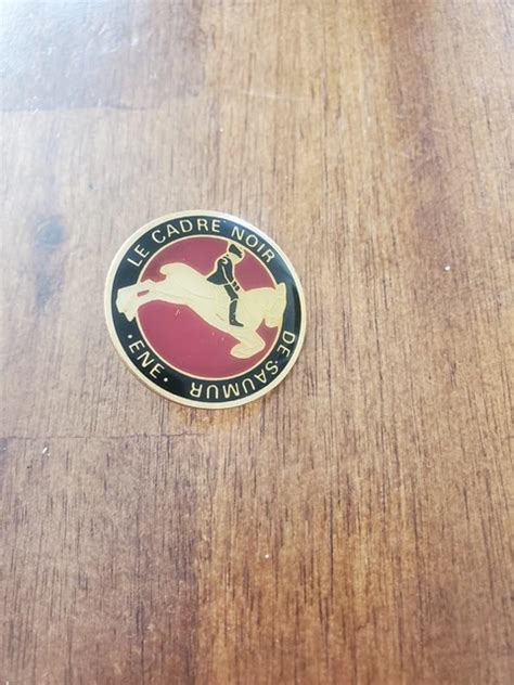 LE CADRE Noir De Saumur ENE Équitation EUR 5,00 - PicClick FR