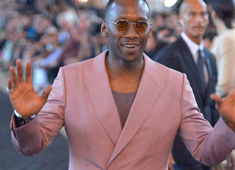 Mahershala Ali Graces TV Again to Join Second Season of ‘Ramy’ – IndieWire