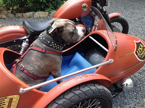 cycle stuff  cycle stuff added   photo