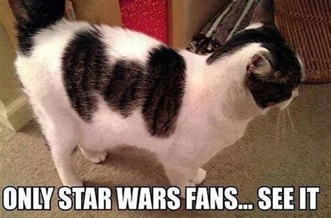 Pin on Funny stuff