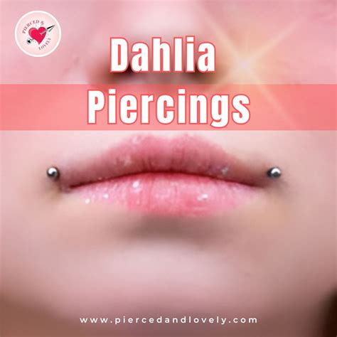 genital piercing affect erectile function pierced  lovely