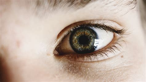 images color brown blue eyebrow eyelid pupil close