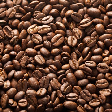 How to Buy the Perfect Coffee Beans for Your Machine? - Simple Easy