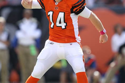 NFL Scores Week 8, Bengals Vs. Seahawks: Andy Dalton, Defense Keeps ...