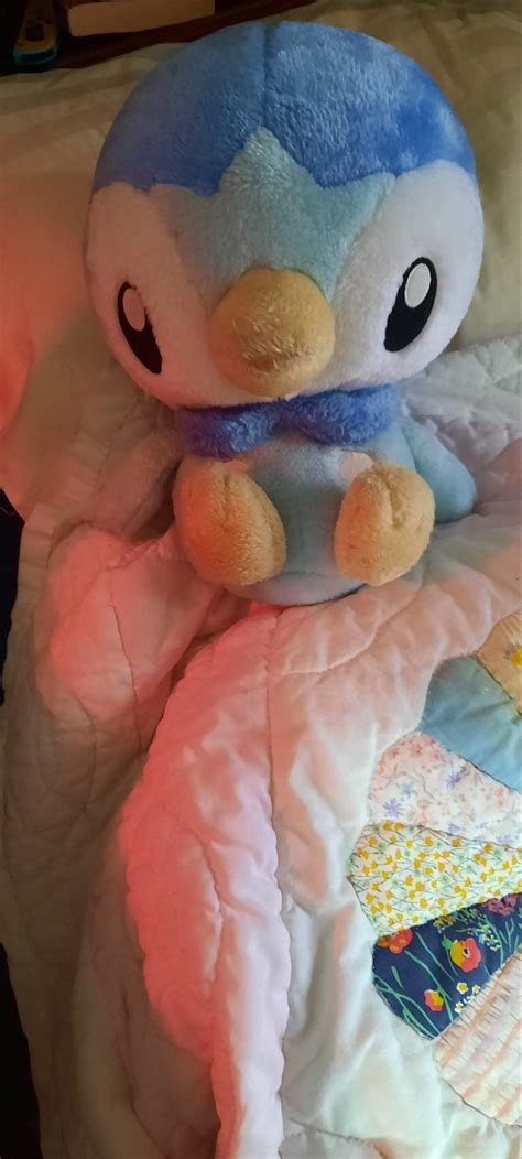 Piplup Plush. | Pokémon Amino