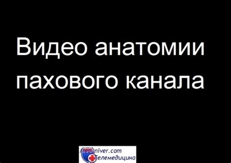 Паховая область. Границы паховой области. Паховый треугольник. Границы ...