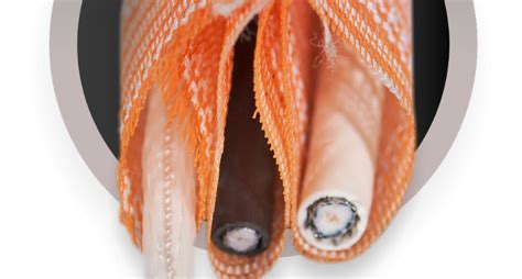 maxcell edge  product launch