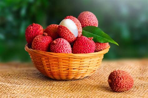 Lichia Epoca Do Ano - Lichia no Brasil: onde a fruta é cultivada e a melhor época para o ...