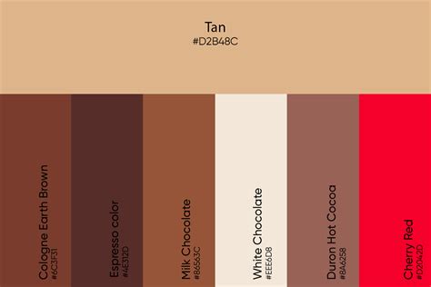 Tan Color Swatch