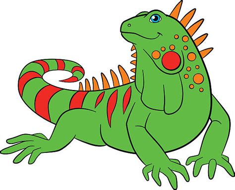 Iguana Illustrations, Royalty-Free Vector Graphics & Clip Art - iStock