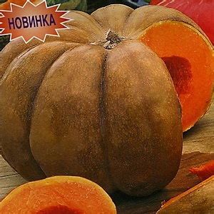 Купить семена Тыква мускатная Большой шлем в магазине Первые Семена по ...