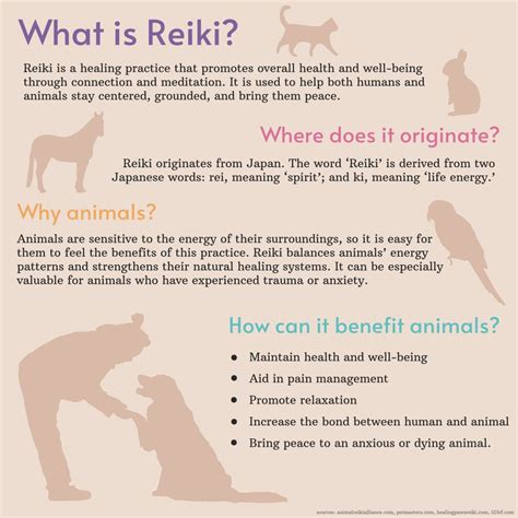 Animal communicators help to heal people and pets - UNC Media Hub